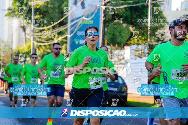 Vale Verde Run 2024