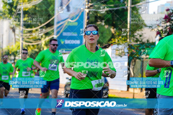 Vale Verde Run 2024