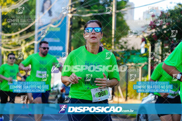 Vale Verde Run 2024