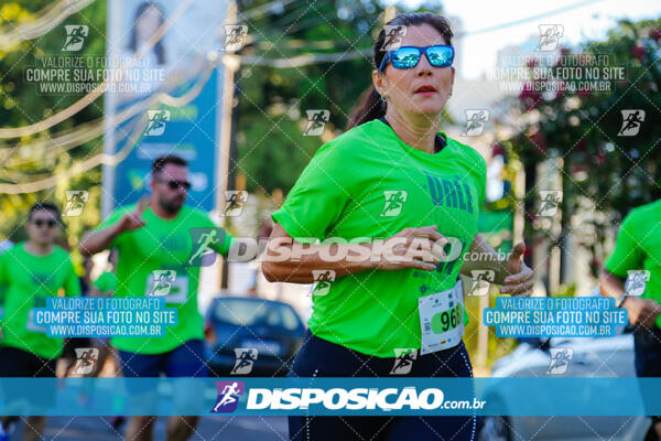 Vale Verde Run 2024