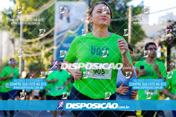 Vale Verde Run 2024