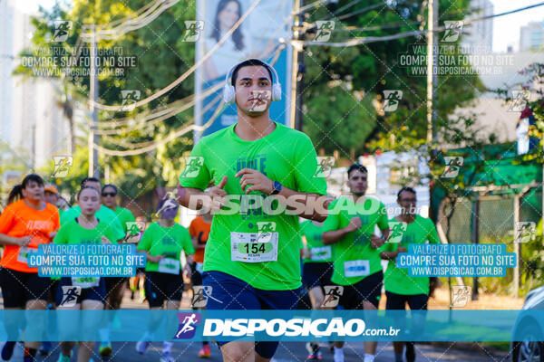 Vale Verde Run 2024