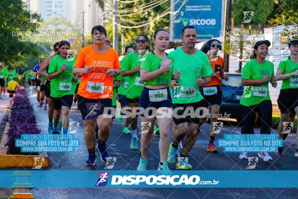 Vale Verde Run 2024