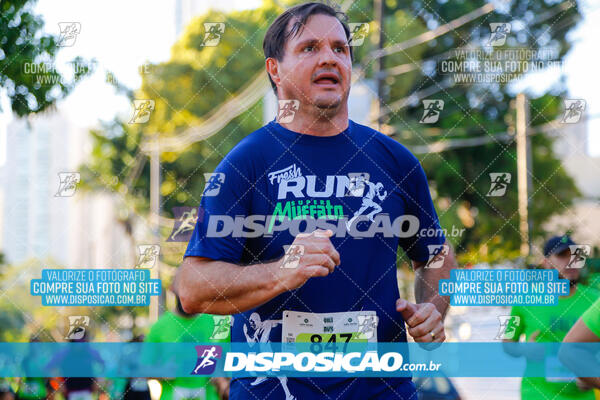 Vale Verde Run 2024