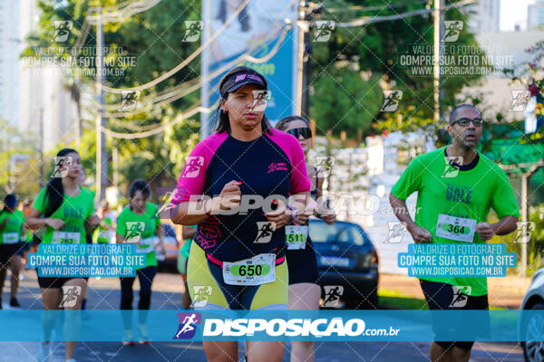 Vale Verde Run 2024