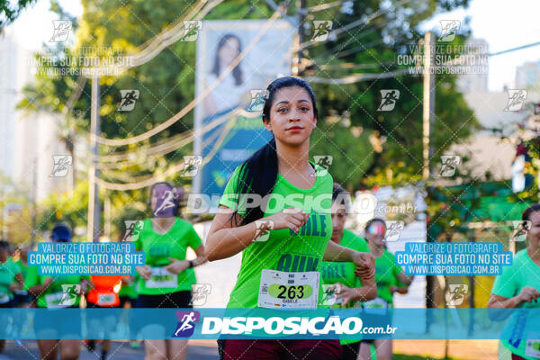 Vale Verde Run 2024