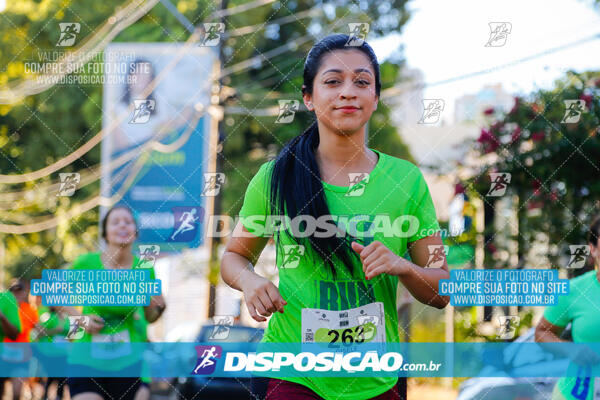 Vale Verde Run 2024