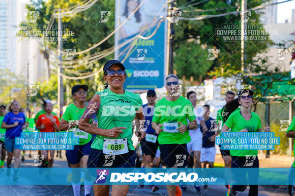 Vale Verde Run 2024