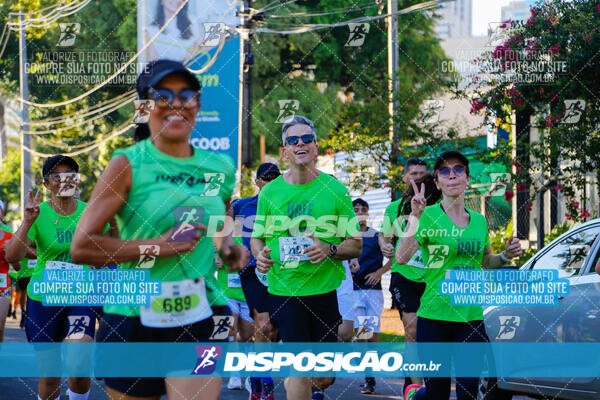 Vale Verde Run 2024