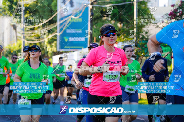 Vale Verde Run 2024