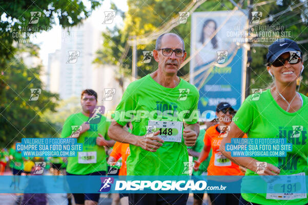 Vale Verde Run 2024