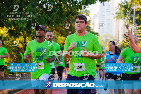 Vale Verde Run 2024