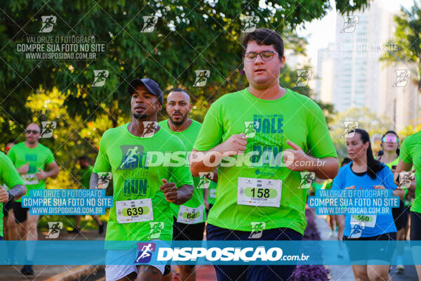 Vale Verde Run 2024