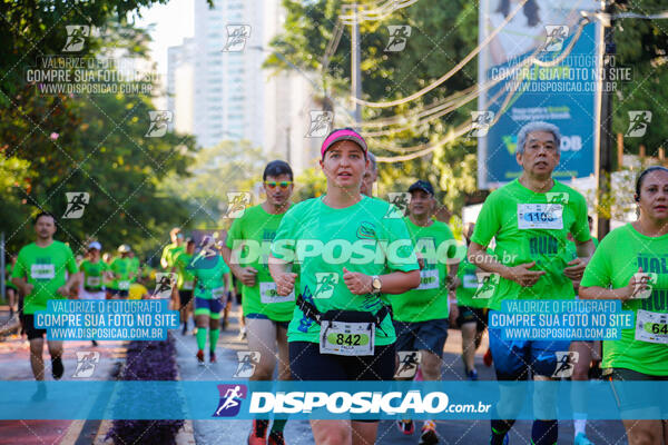 Vale Verde Run 2024