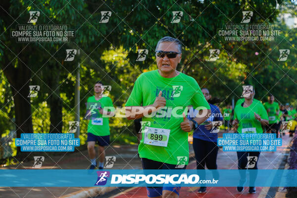 Vale Verde Run 2024