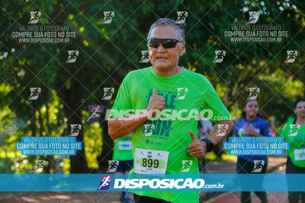 Vale Verde Run 2024