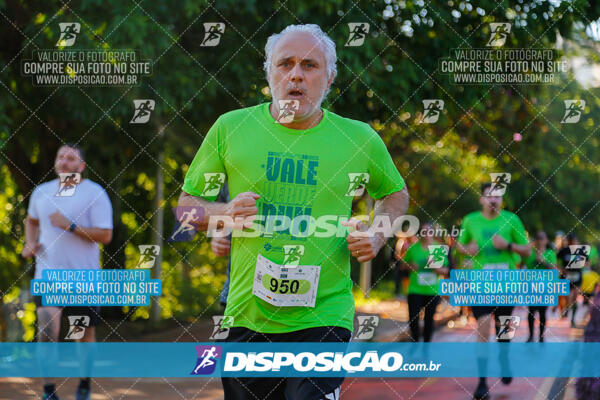 Vale Verde Run 2024