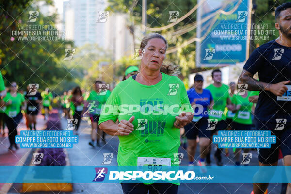 Vale Verde Run 2024