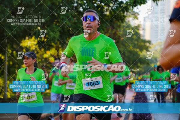 Vale Verde Run 2024