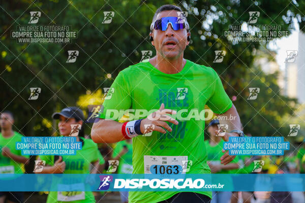 Vale Verde Run 2024