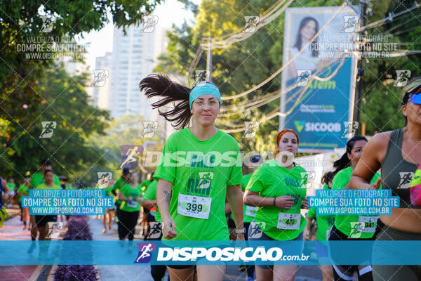 Vale Verde Run 2024