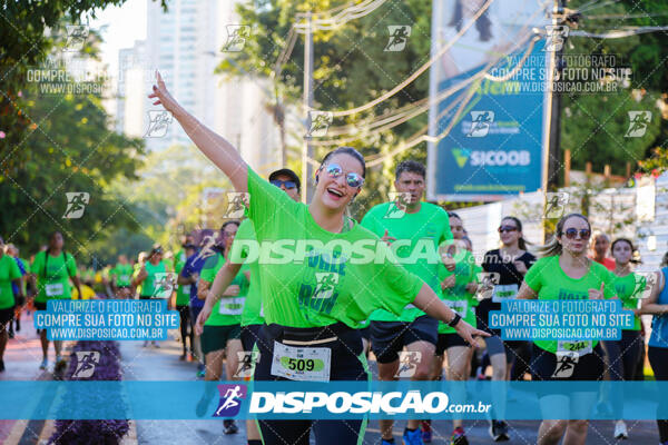 Vale Verde Run 2024