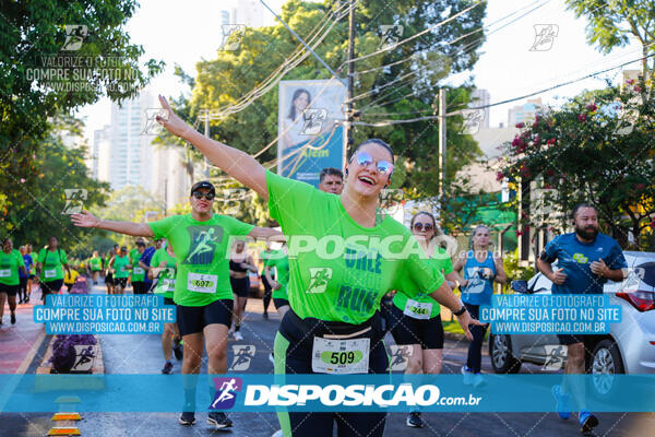 Vale Verde Run 2024