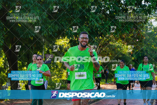 Vale Verde Run 2024