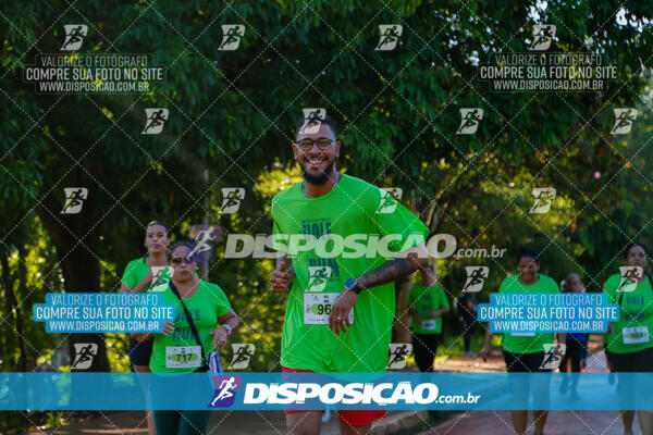 Vale Verde Run 2024