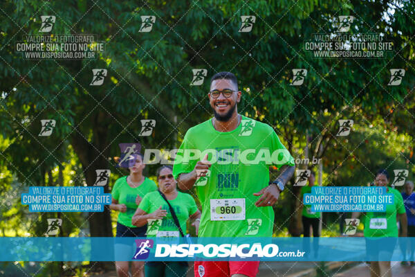 Vale Verde Run 2024