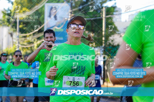 Vale Verde Run 2024