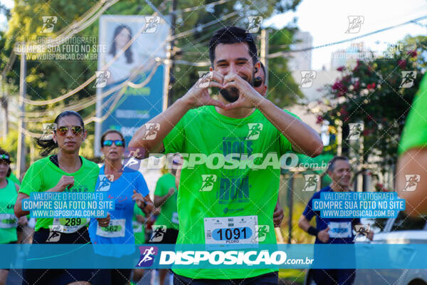 Vale Verde Run 2024