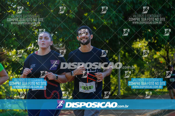 Vale Verde Run 2024