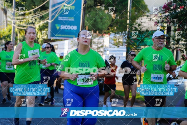 Vale Verde Run 2024