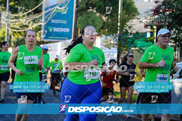 Vale Verde Run 2024