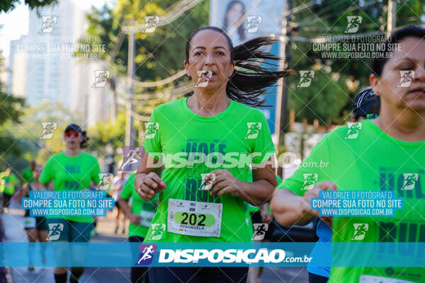 Vale Verde Run 2024