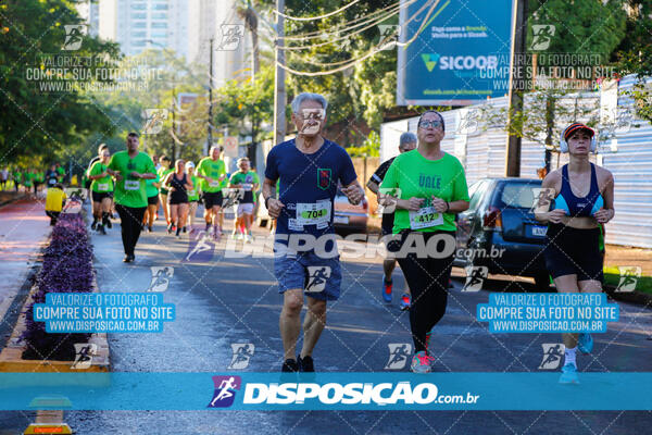 Vale Verde Run 2024