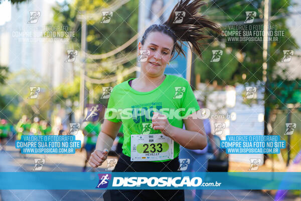 Vale Verde Run 2024