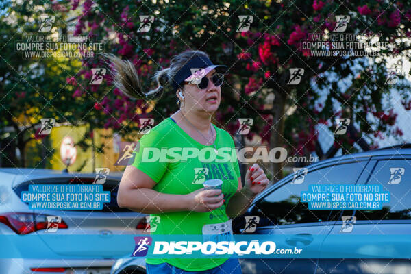 Vale Verde Run 2024