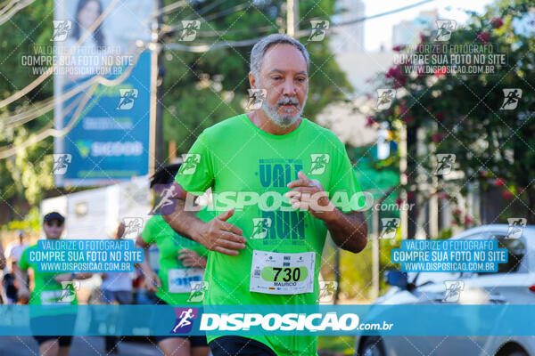 Vale Verde Run 2024