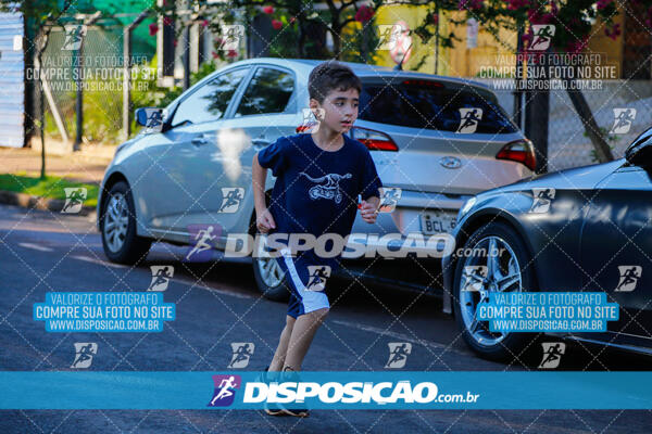 Vale Verde Run 2024