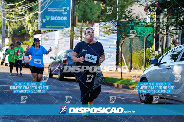 Vale Verde Run 2024