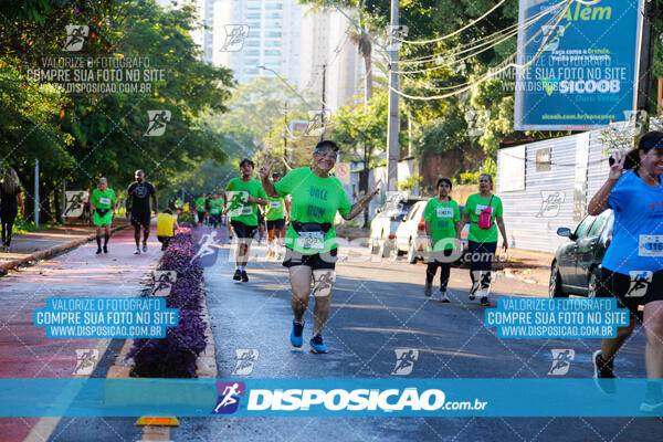 Vale Verde Run 2024