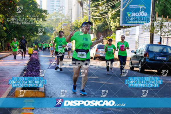 Vale Verde Run 2024