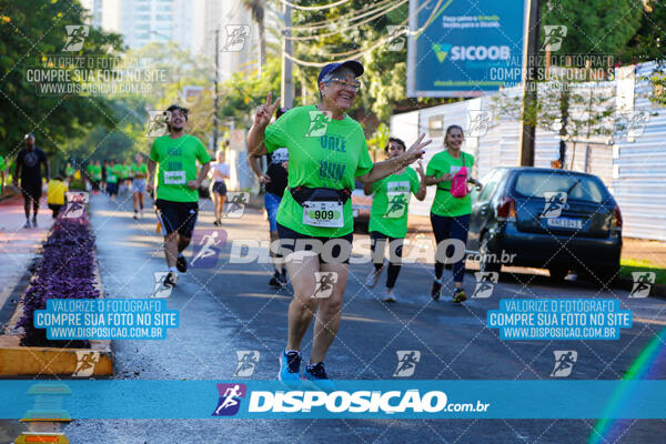 Vale Verde Run 2024