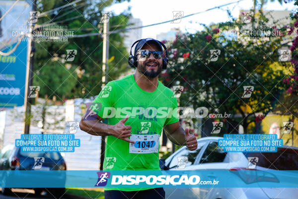 Vale Verde Run 2024