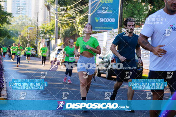 Vale Verde Run 2024