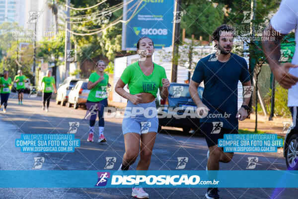 Vale Verde Run 2024