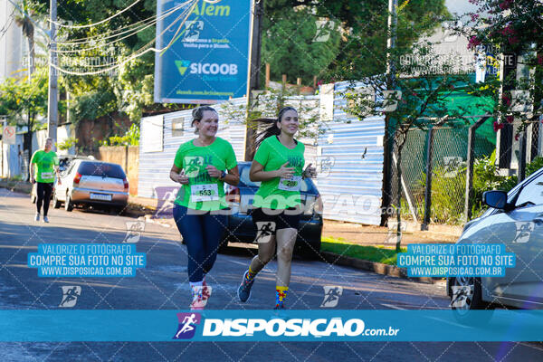 Vale Verde Run 2024