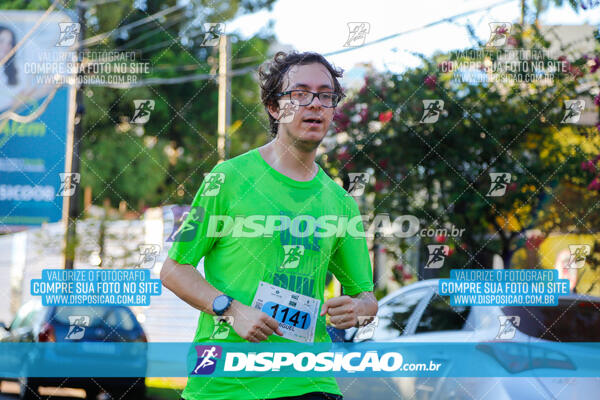 Vale Verde Run 2024